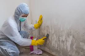 Best Crawl Space Mold Remediation  in Munford, AL